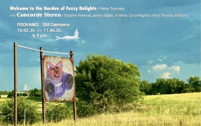 The Garden of Fuzzy Delights + Concorde Stereo